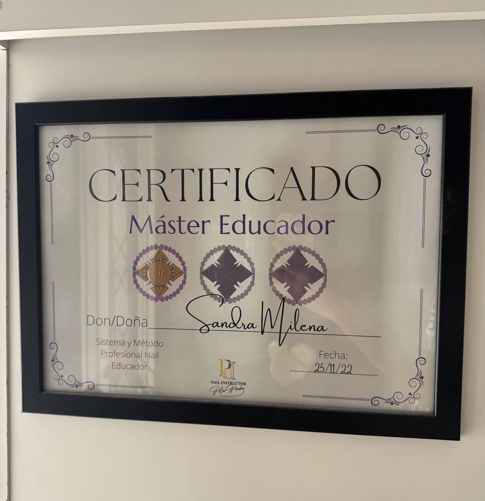 Diploma o premio de Sandra — 3