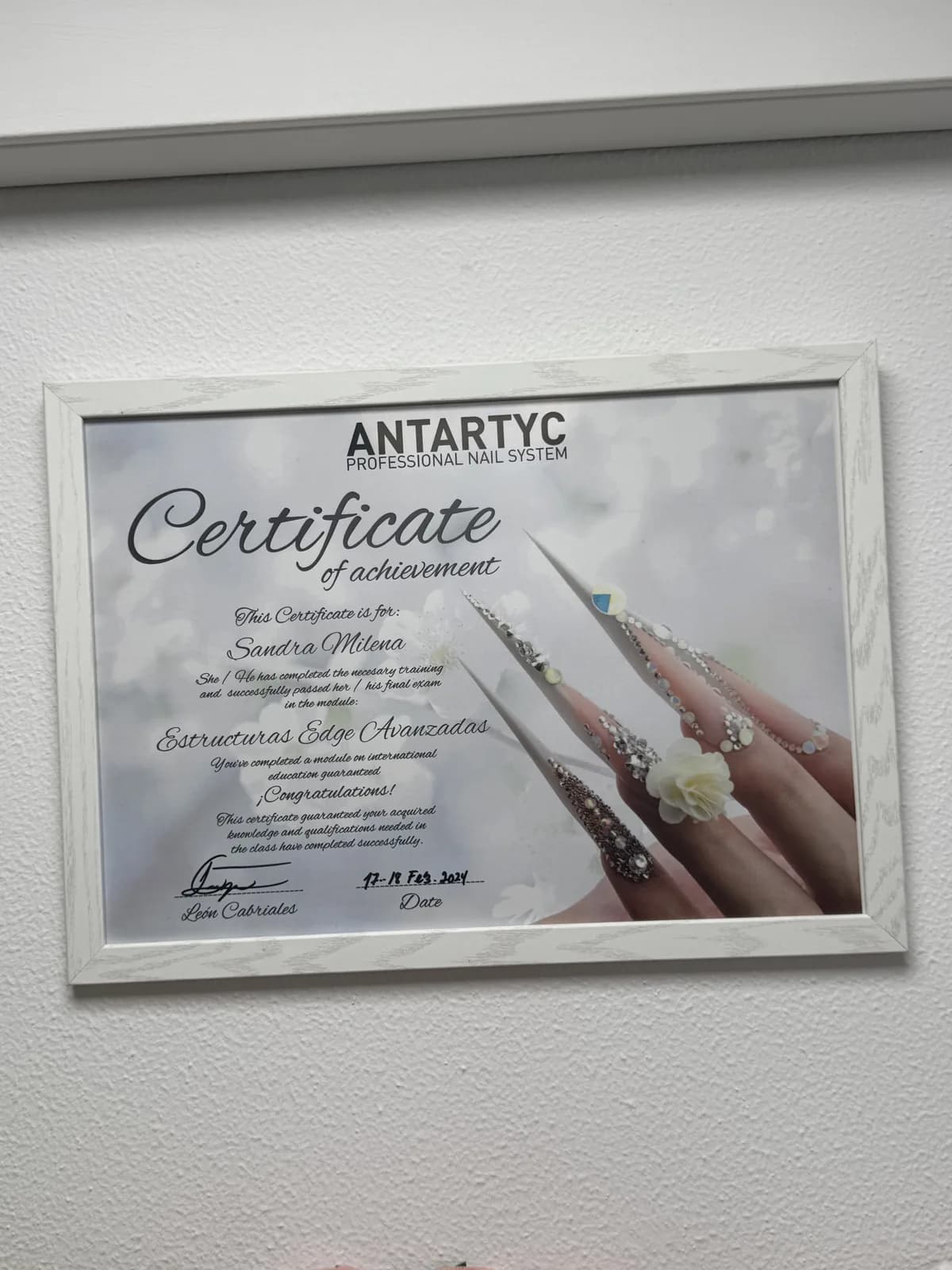 Diploma o premio de Sandra — 8
