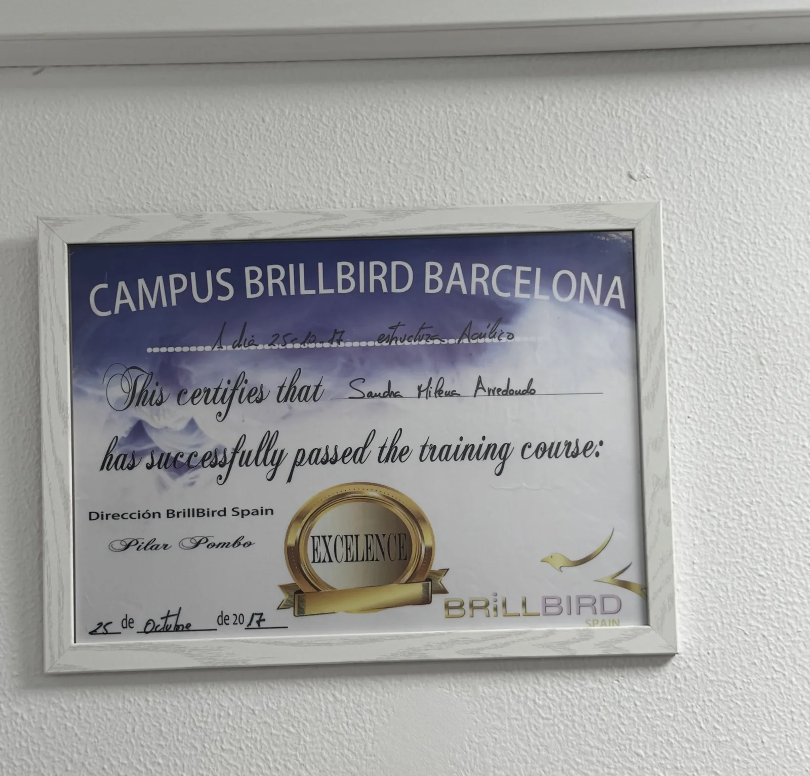 Diploma o premio de Sandra — 9